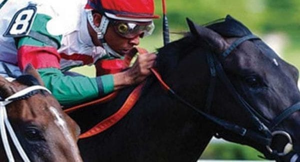 A jockey in a red helmet and colorful uniform rides a dark brown horse, leaning forward, with another horse partially visible beside them. The background blurs into green, evoking the thrilling rush of travel packages that sweep you away to new adventures. A jockey in a red helmet and colorful uniform rides a dark brown horse, leaning forward, with another horse partially visible beside them. The background blurs into green, evoking the thrilling rush of travel packages that sweep you away to new adventures.