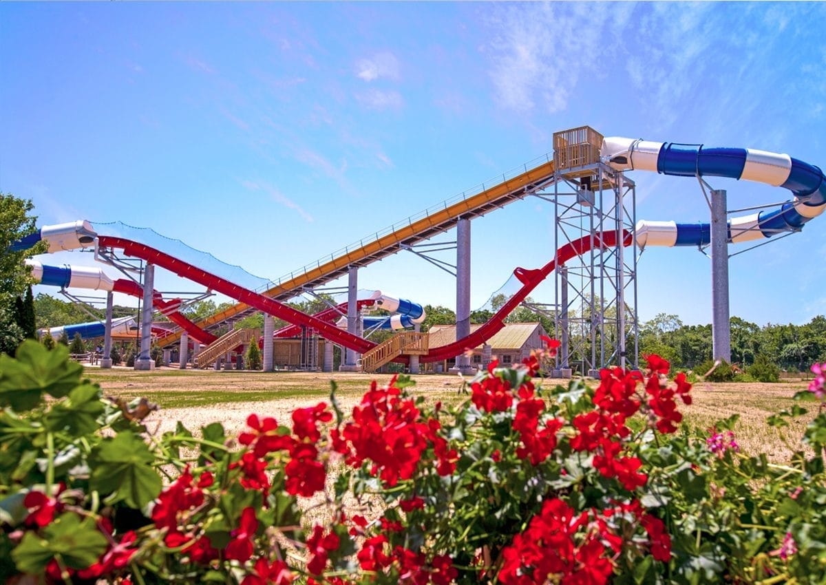 A water park with large curved slides in blue, white, and red. The slides are elevated on metal structures against a clear blue sky. Vibrant red flowers are in the foreground, adding color to the scene.