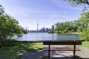 A wooden bench on a grassy area at Toronto Island Park faces a calm body of water, with the Toronto skyline and CN Tower visible in the distance under a clear blue sky. Lush green trees surround this serene waterfront spot.