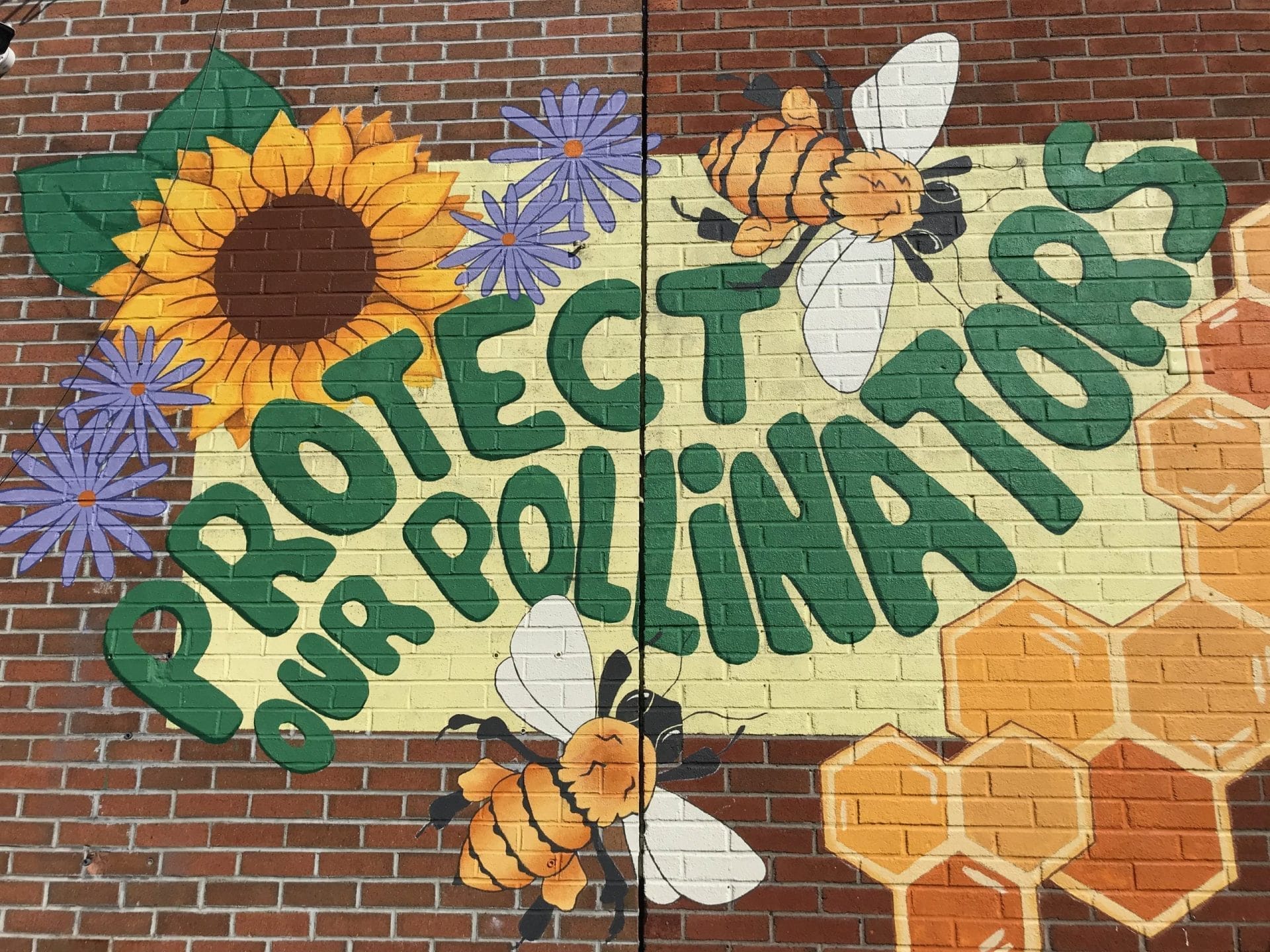 New Paltz Mural