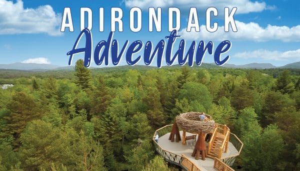 Aerial view of a forest with a wooden pathway leading to an elevated platform resembling a birds nest. A person stands on the platform surrounded by lush green trees, perfect for bird watching near Amtrak in New York. The sky is clear with a few clouds. Text reads Adirondack Adventure.