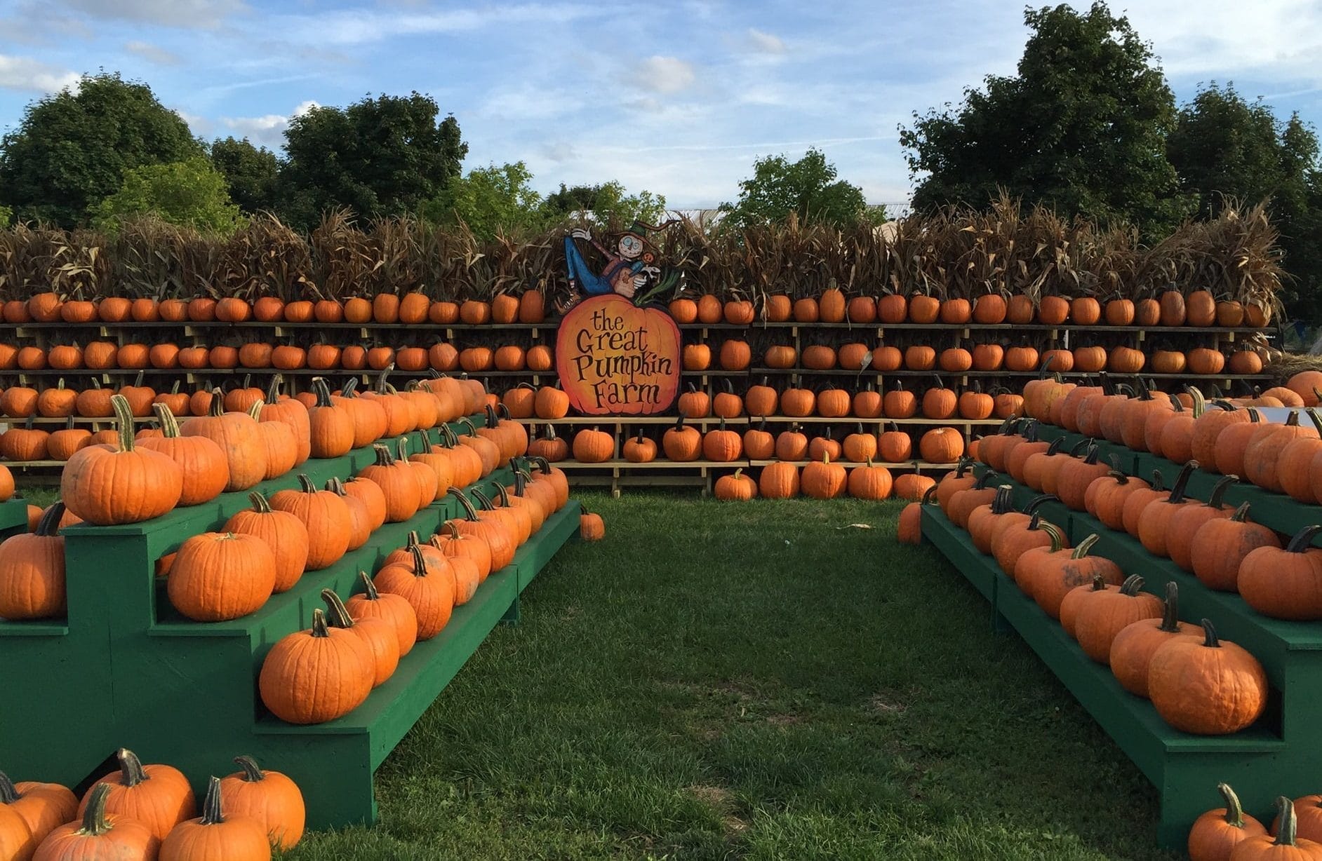 Great Pumpkin Farm