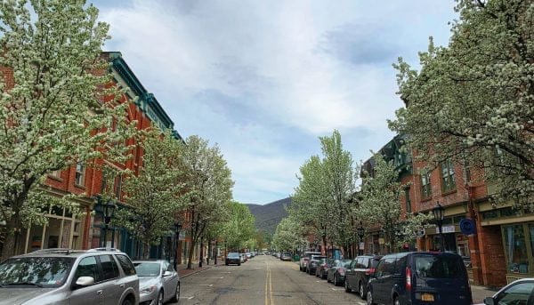 A quaint, tree-lined street with blooming white flowers on both sides. Red-brick buildings flank the road, and parked cars line the curb. A distant mountain is visible under a cloudy sky.