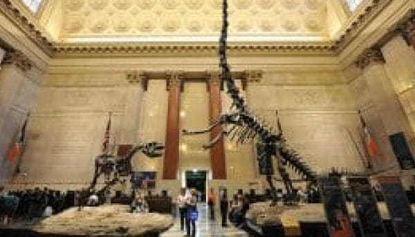 NYC Museums