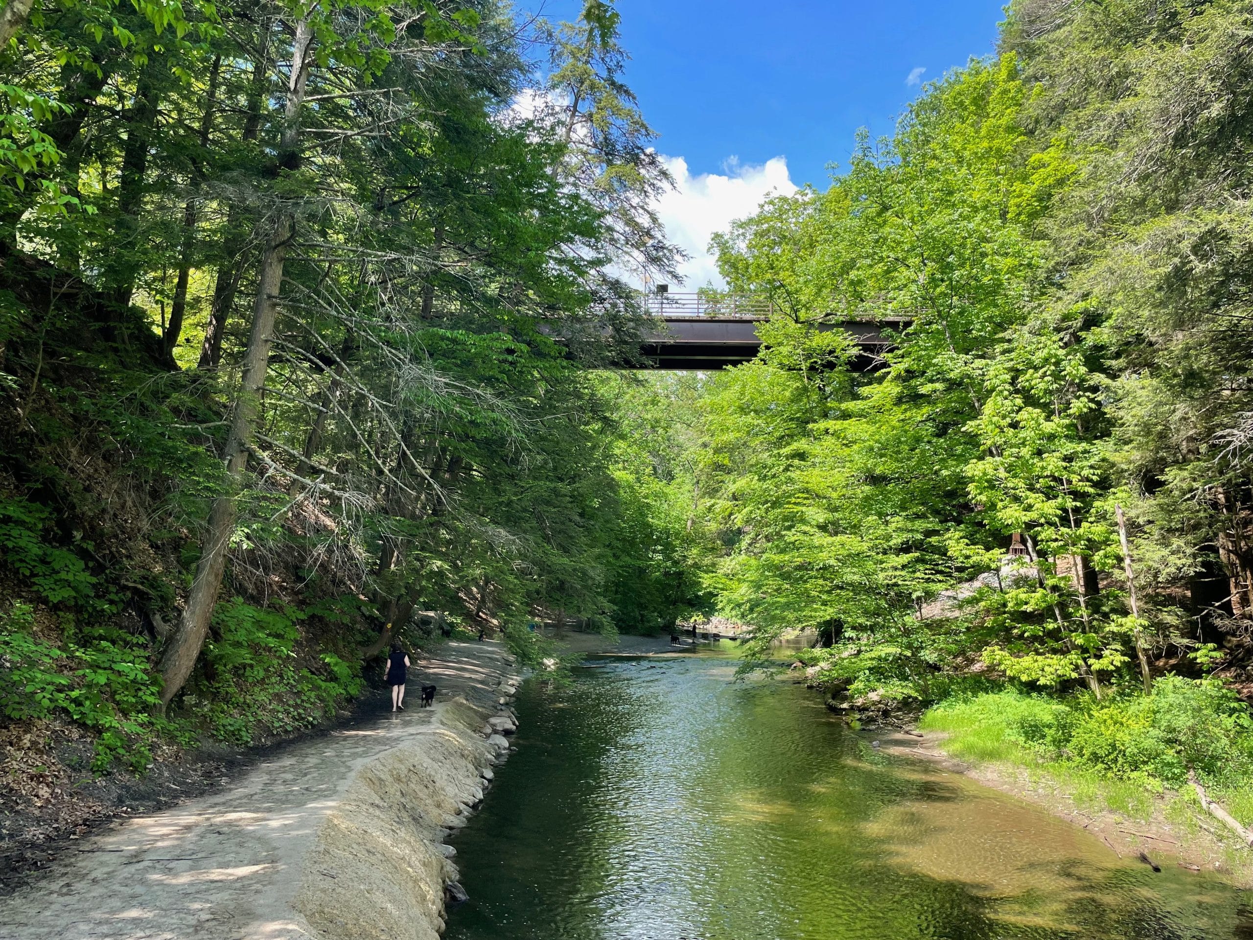 A scenic forest trail in New York State Parks unfolds under a lush green canopy, with a river flowing beside it. A person walks a dog along the pathway while above, a historic bridge crosses the river, all set against a bright blue sky with scattered clouds, capturing natures beauty perfectly.