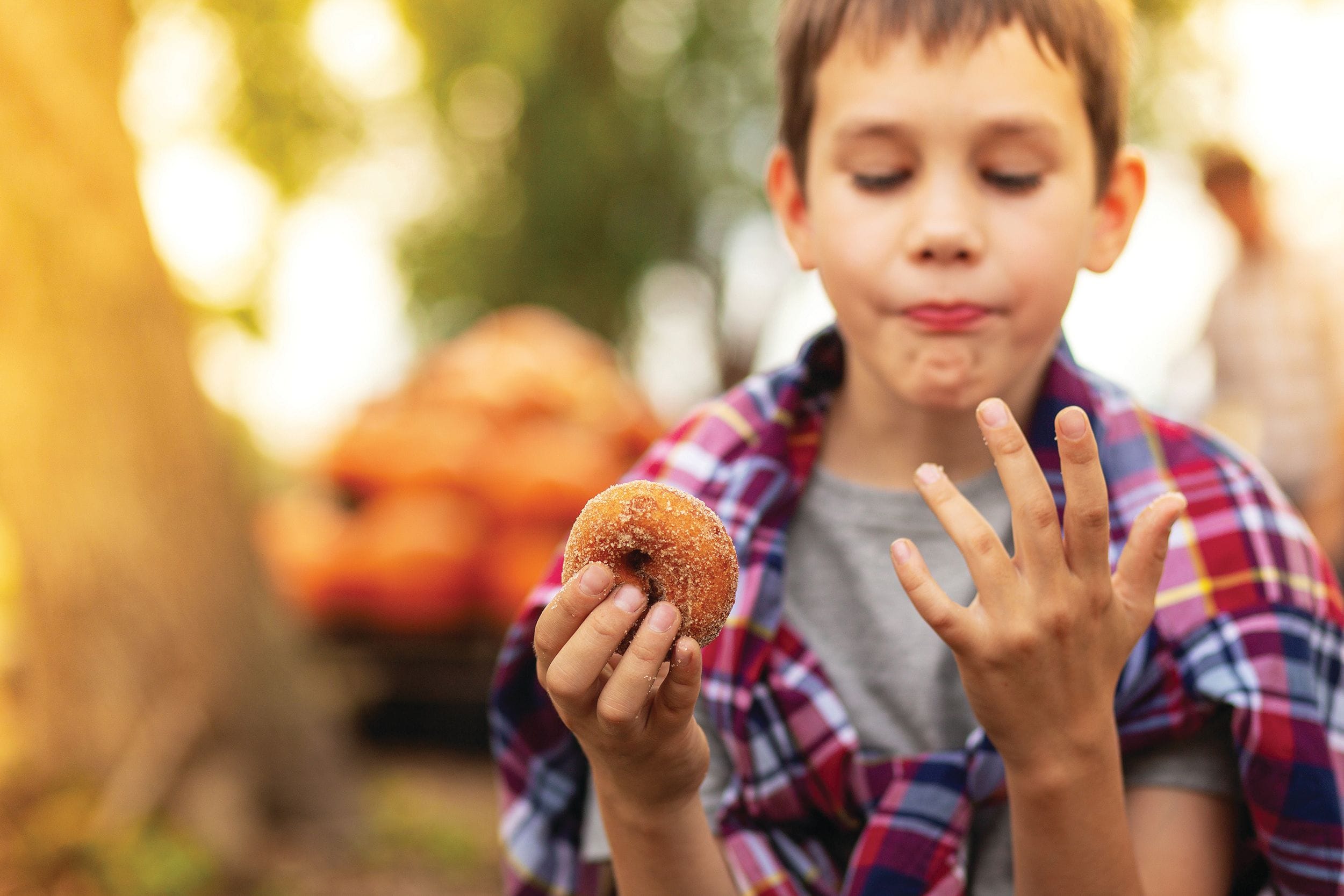A young boy outdoors holds a sugar-coated donut—an Empire State Eats favorite—in one hand while examining his other, now dusted in sugar. He wears a plaid shirt and looks content, with pumpkins and trees blurred in the New York background.