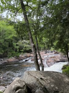 A rocky river flows through a forest with lush green trees in the Lake George Area by Rail. Large boulders sit in the foreground, while gentle rapids cascade over rocks beneath a partly cloudy sky.