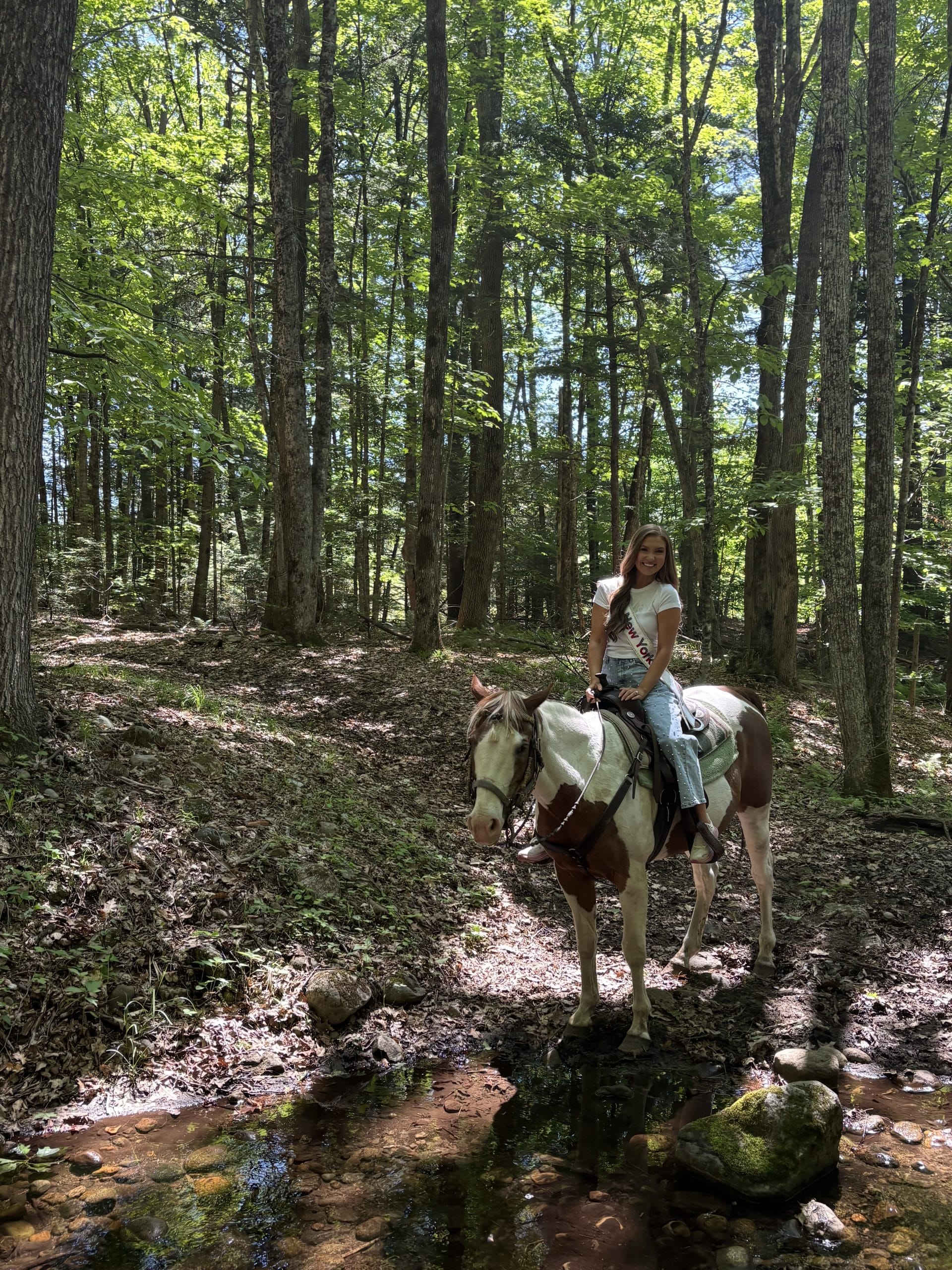 A woman wearing a white shirt and jeans sits on a brown and white horse in a sunlit forest near Lake George Area by Rail, paused beside a small rocky stream with tall trees and green foliage in the background.