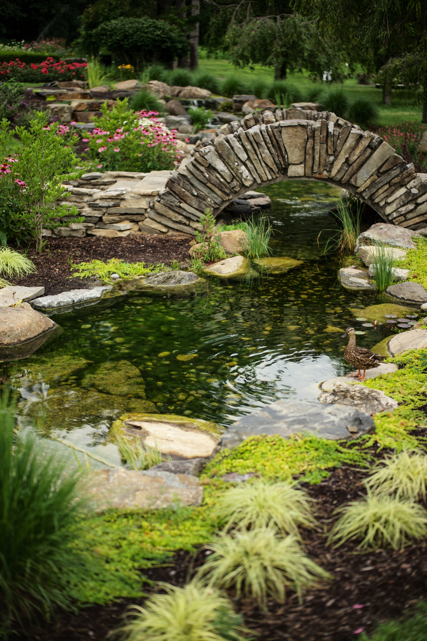 A small stone bridge arches over a clear pond surrounded by lush greenery, grasses, and blooming flowers in a tranquil Schenectady Rose Garden setting.